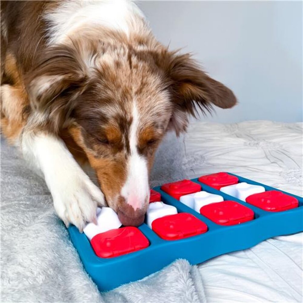 Dog Brick Interactive Treat Puzzle Dog Toy, Blue, One-Size - Picture 6 of 6